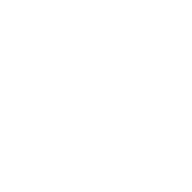 Electronic Rearview Mirror